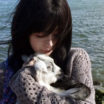 泰版狐狸的夏天